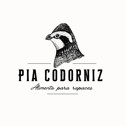 Pía codorniz